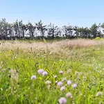 1052-thisted-bavnbak-50 Holiday home