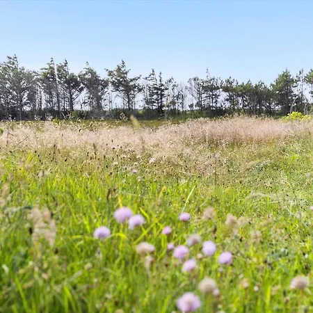 1052-thisted-bavnbak-50 Semesterbostad